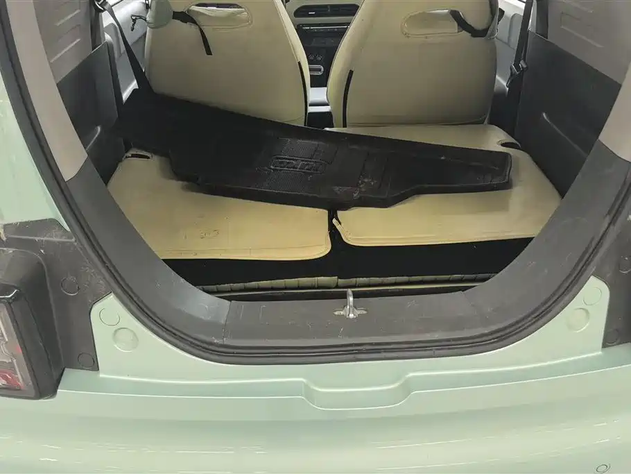 Geely Galaxy Panda 2023 Panda Mini 200km Endurance Bear фото 4