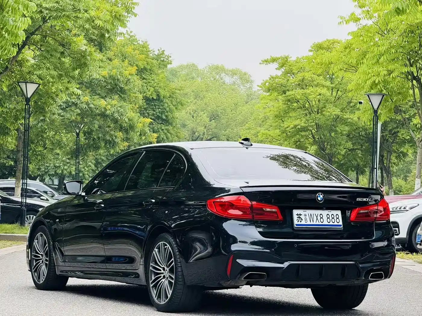 BMW 5 Series 2019 530Li Premium M Sport Package фото 6