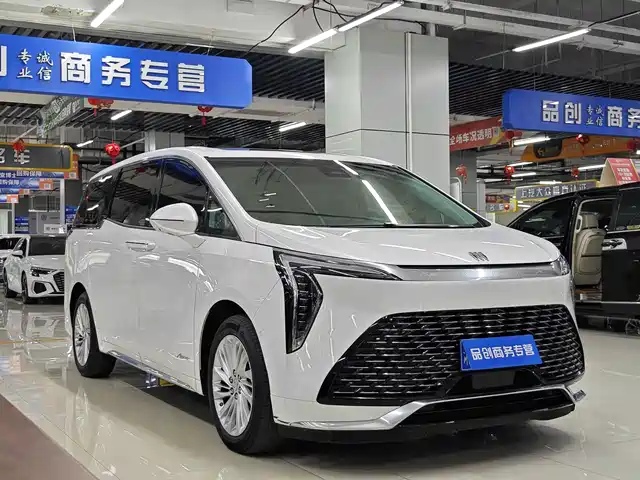 Buick Century 2025 2.0T 6-Seater World Edition — фото 3