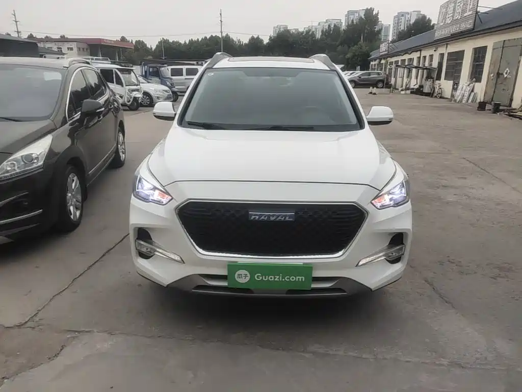Фото 3 - Haval M6