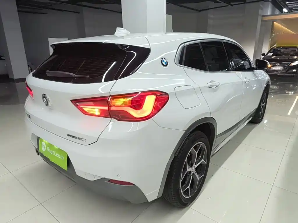 BMW X2 (Import) 2019 2019 sDrive20i M Off-Road Package China VI