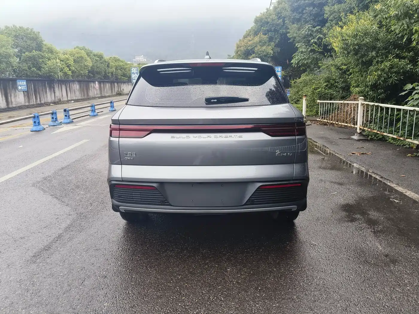 BYD Song Pro New Energy 2024 Glory Edition DM-i 110KM Surpassing фото 8