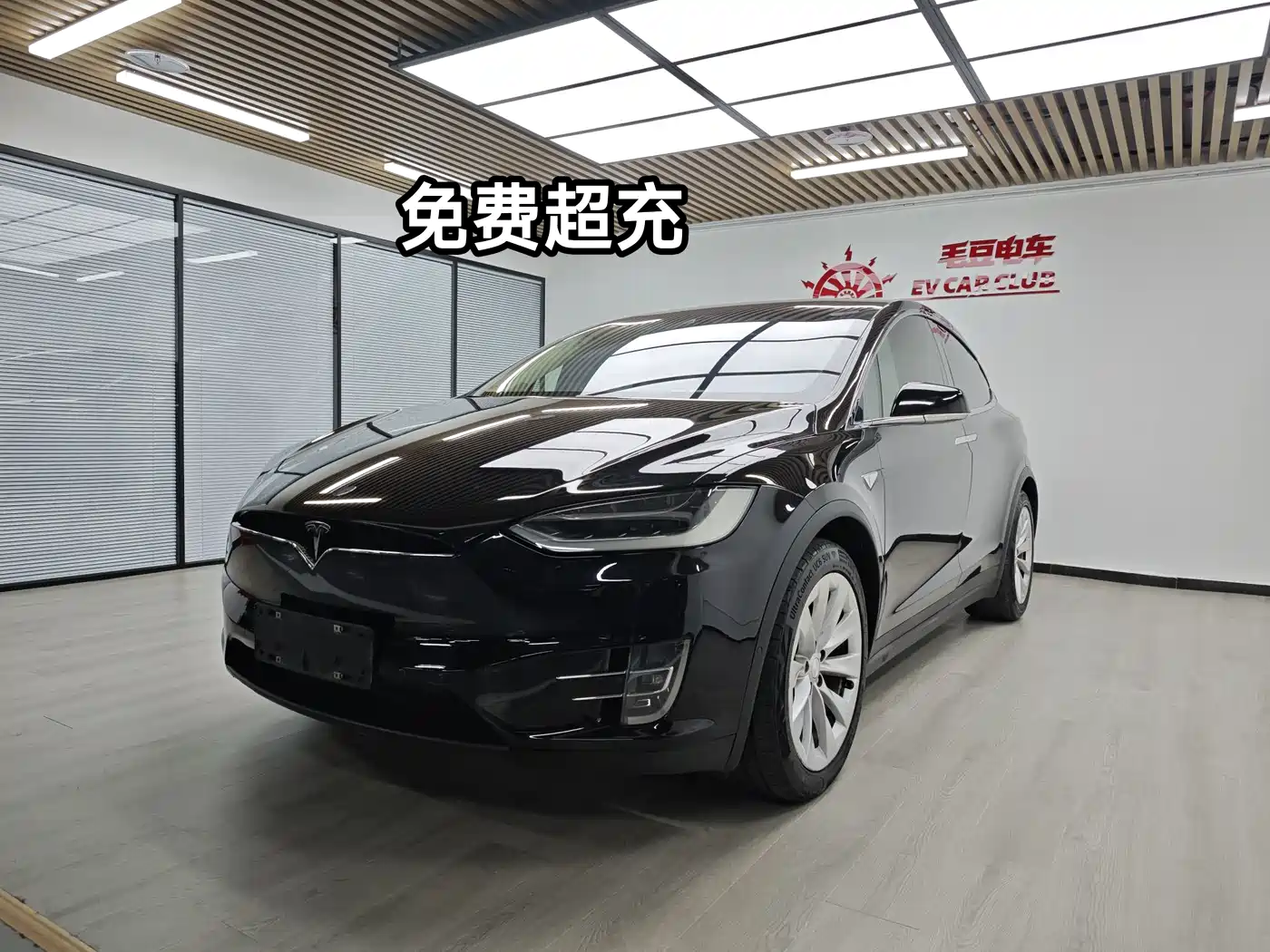 TESLA MODEL X