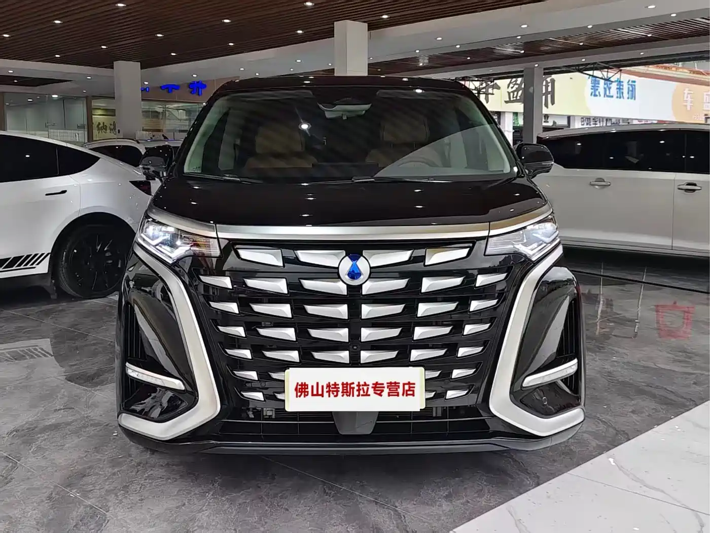 Denza D9 2024 DM-i 980 AWD Premium фото 3