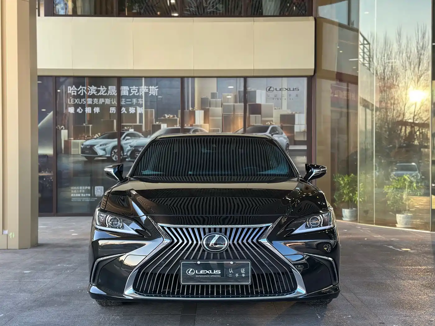 Lexus ES 2022 200 Excellence Edition фото 2