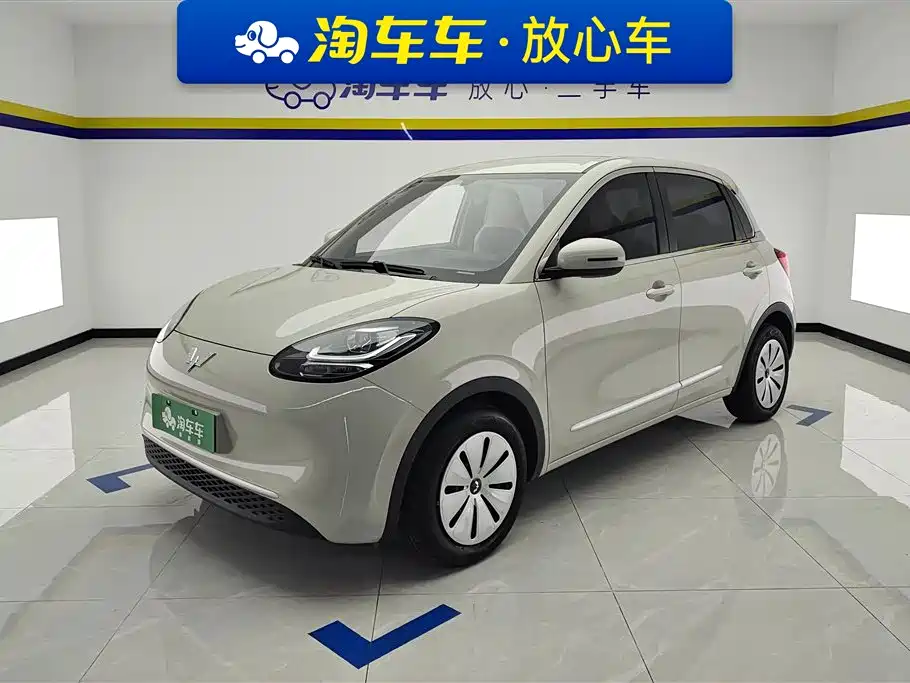 Wuling Motors Wuling Bingo 2023 Model 203km Lite Enjoyment Edition