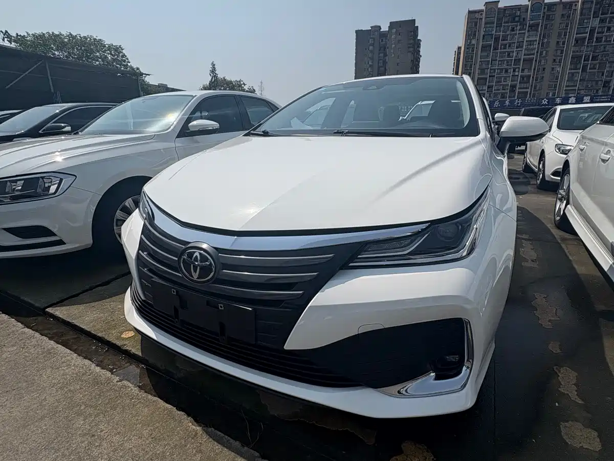 TOYOTA ASIAN LION 2023