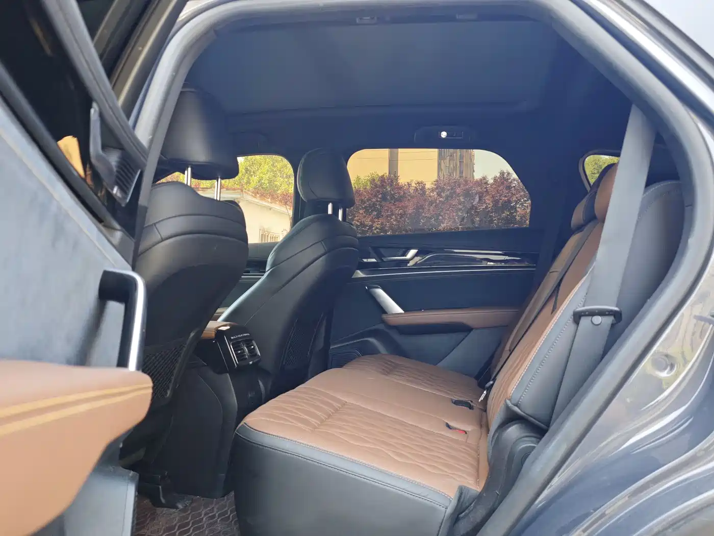 BYD Tang New Energy 2021 DM-i 112KM Premium фото 5