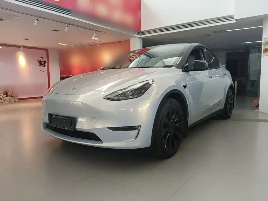 Tesla Model Y 2021 2021 Standard Range Rear-Wheel Drive