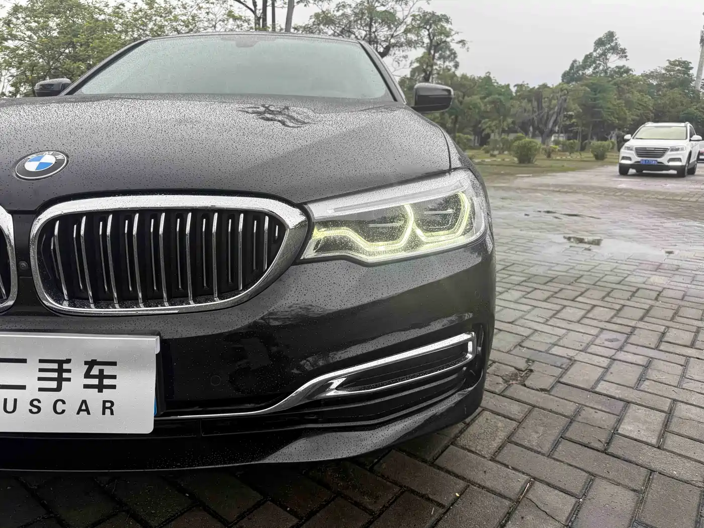 BMW 5 Series 2020 530Li Premium Luxury Package фото 21