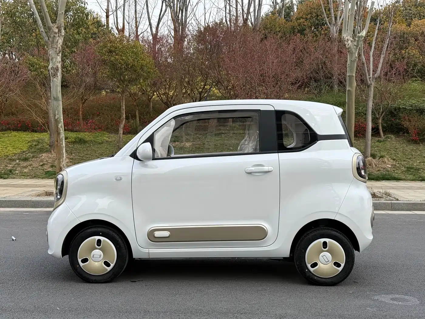 BESTUNE PENTIUM PONY