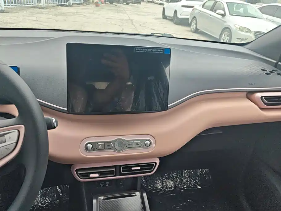 BYD Seagull 2026 2025 Smart Drive Edition 305km Vitality Version