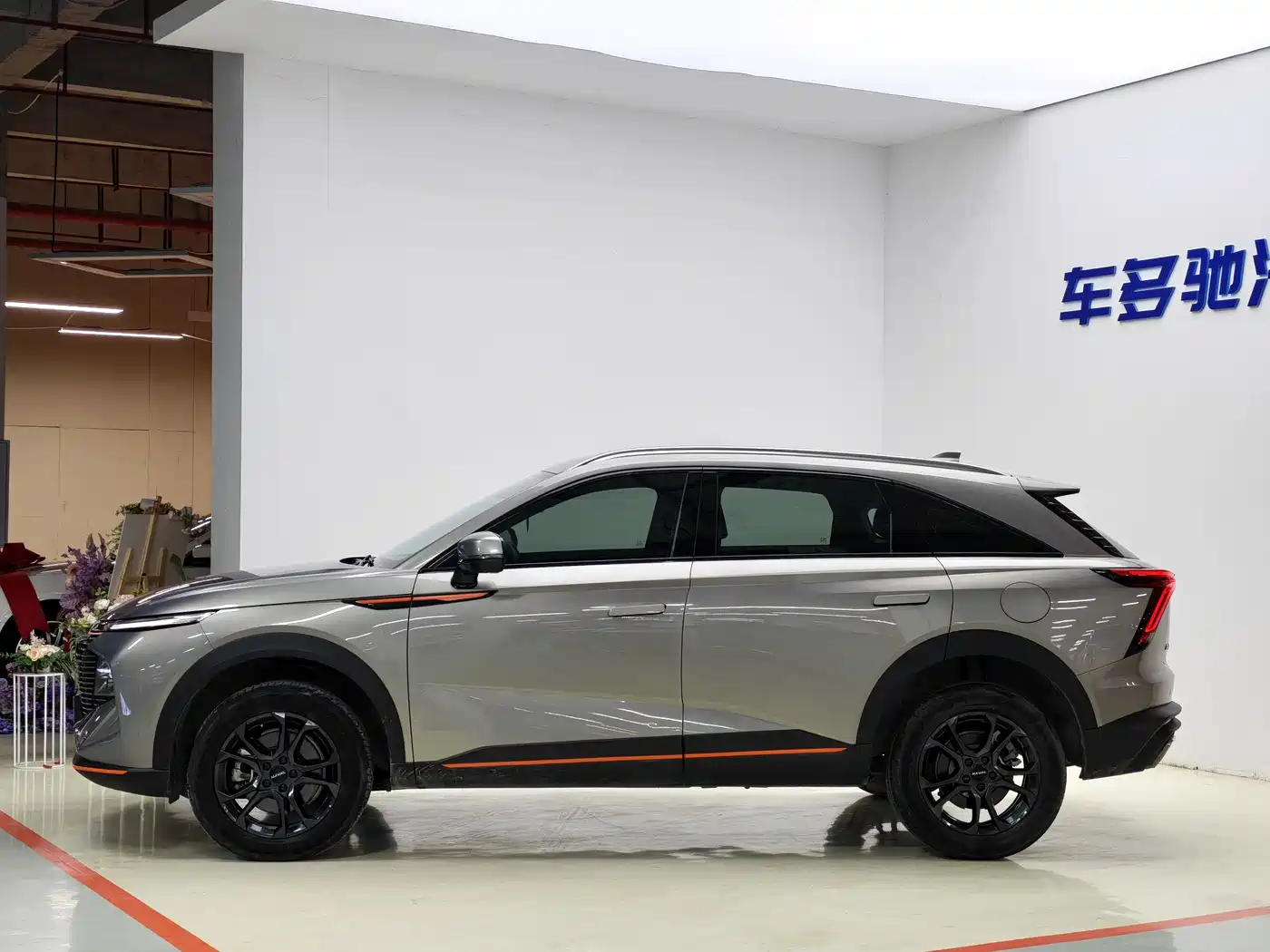 HAVAL DIVINE BEAST