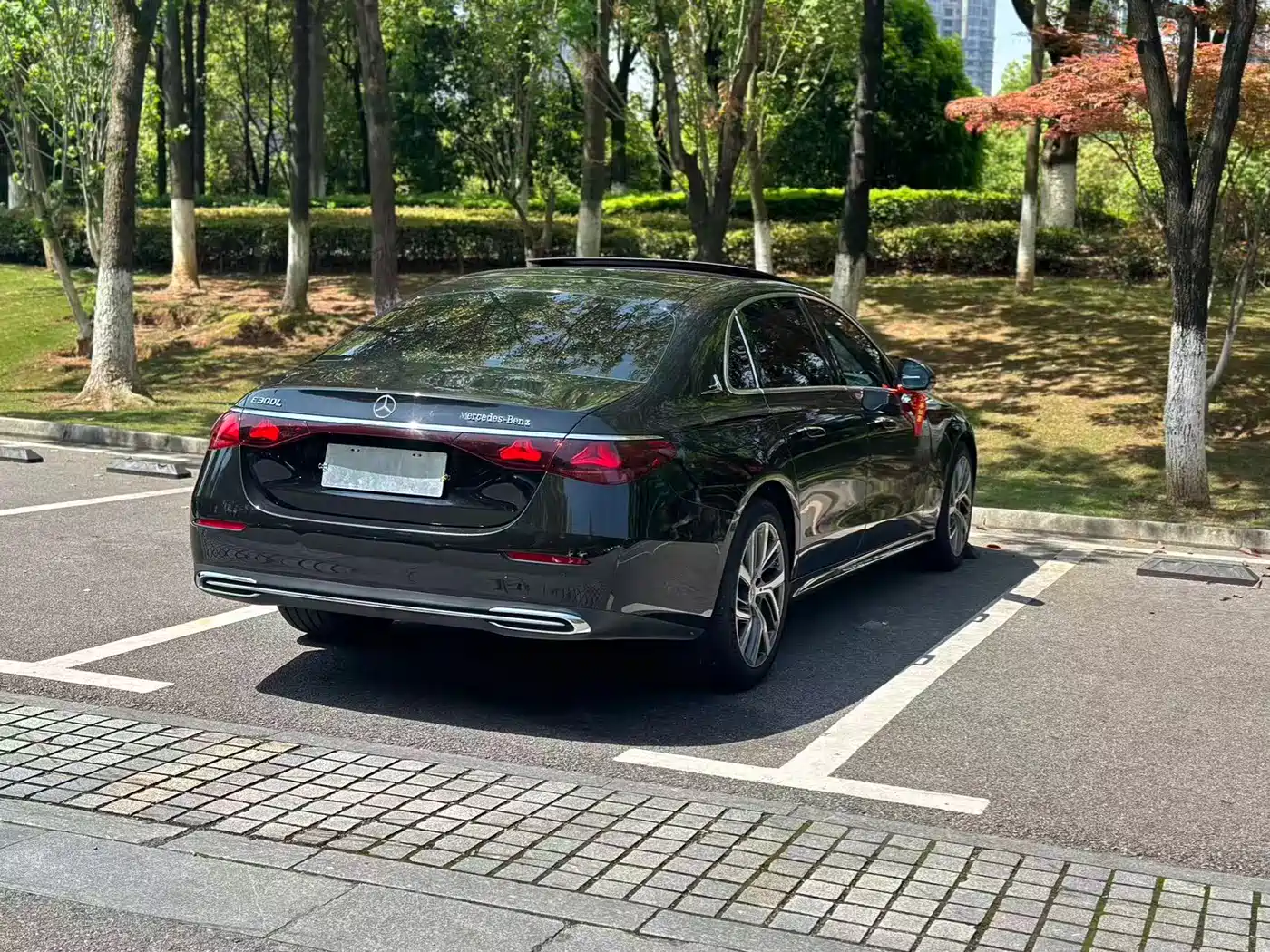 Mercedes-Benz E-Class 2024 E 300 L Fashion фото 11