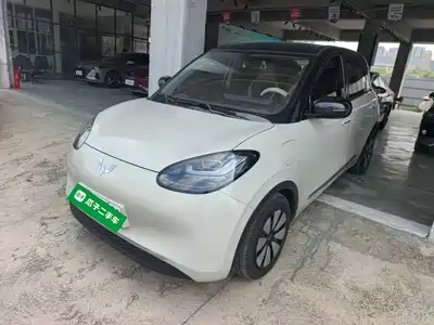 Wuling Bingo