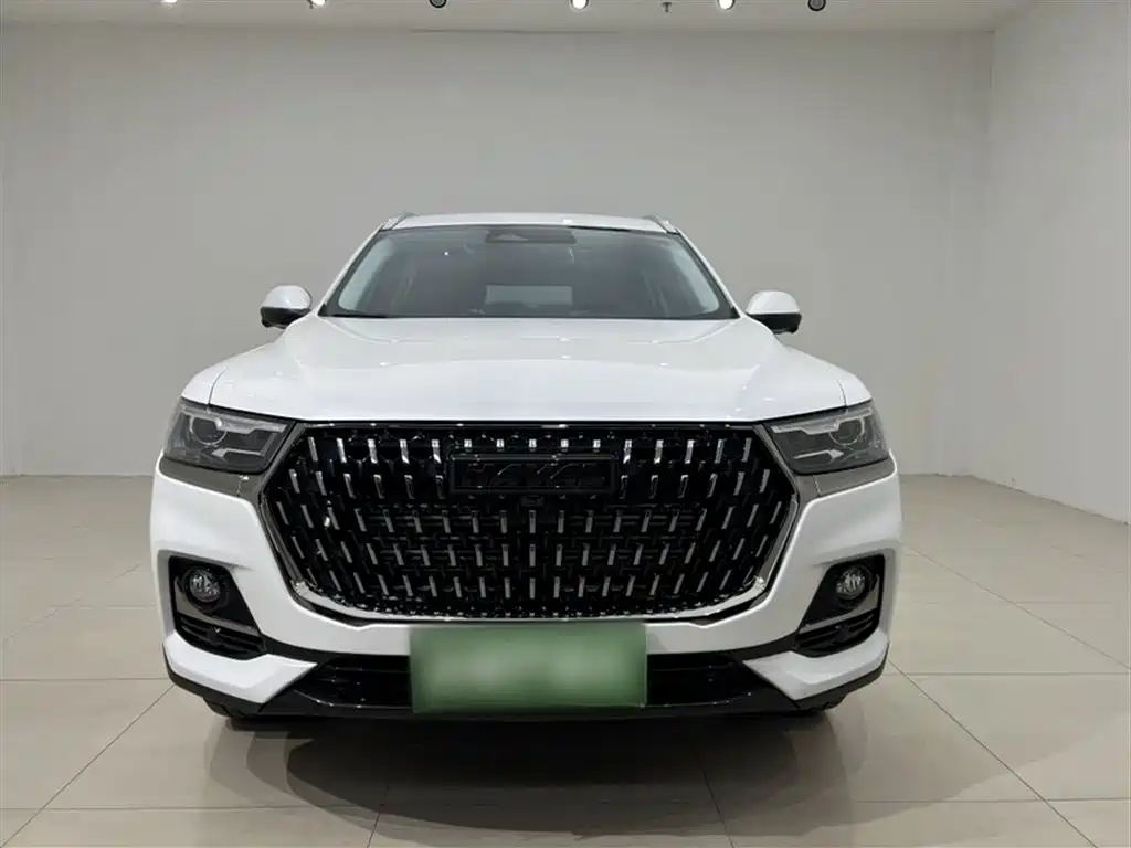 Haval H6 2023 National Trend Edition 1.5T Automatic Champion фото 6