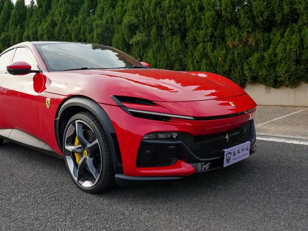 صورة 10 - Ferrari Purosangue