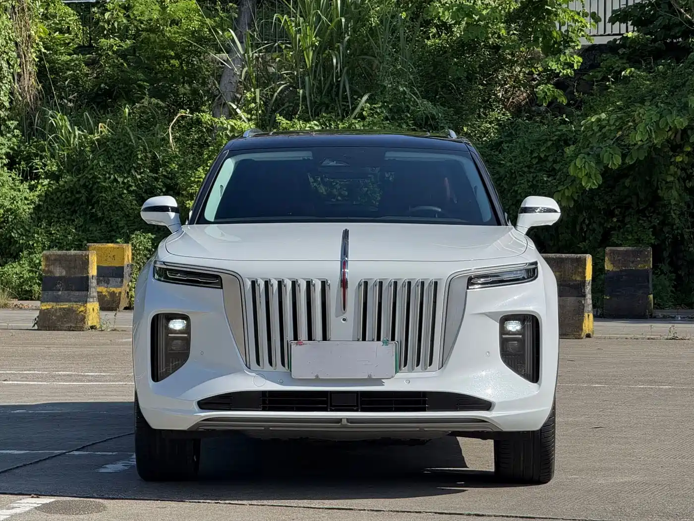 Hongqi E-HS9 2022 660km Qi Chang Edition (6-seater)