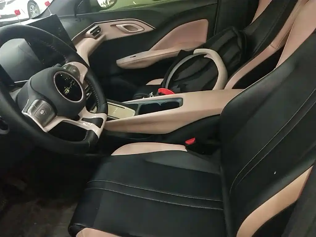 BYD Seagull 2023 Freedom Edition фото 15