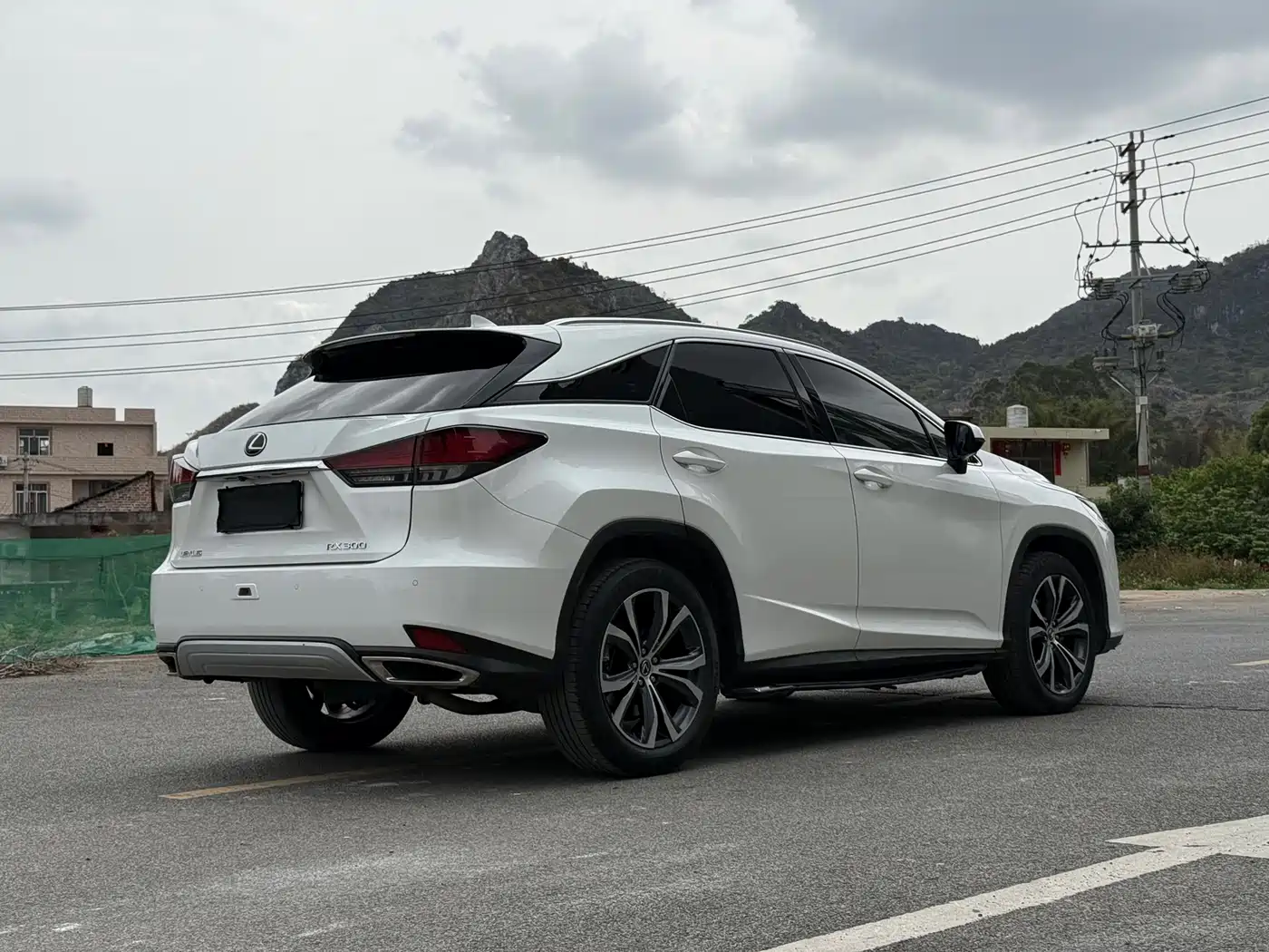 Lexus RX 2020 300 4WD Luxury Edition China VI фото 20