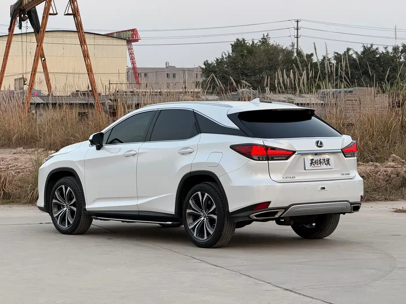 Lexus RX 2020 300 4WD Elegance Edition China VI фото 11