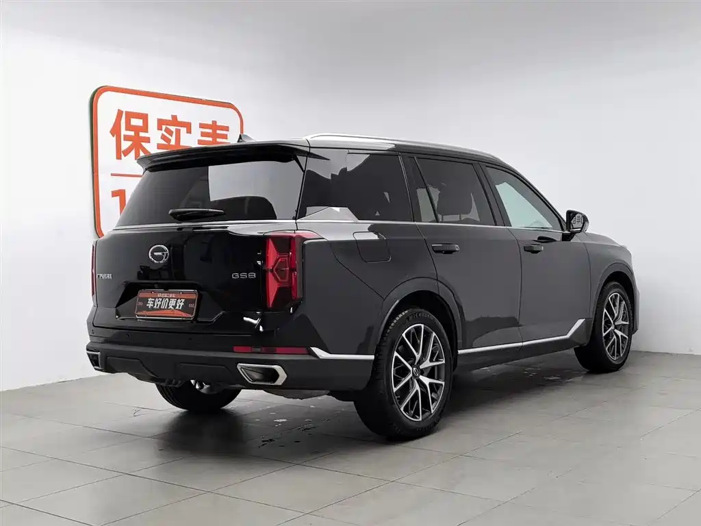 GAC Trumpchi Trumpchi GS8 2025 Pilot Series 2.0TGDI 2WD Luxury Edition 5-seater фото 2