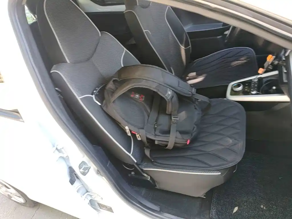 BYD e2 2021 2019 Standard Range Yue·Standard Model