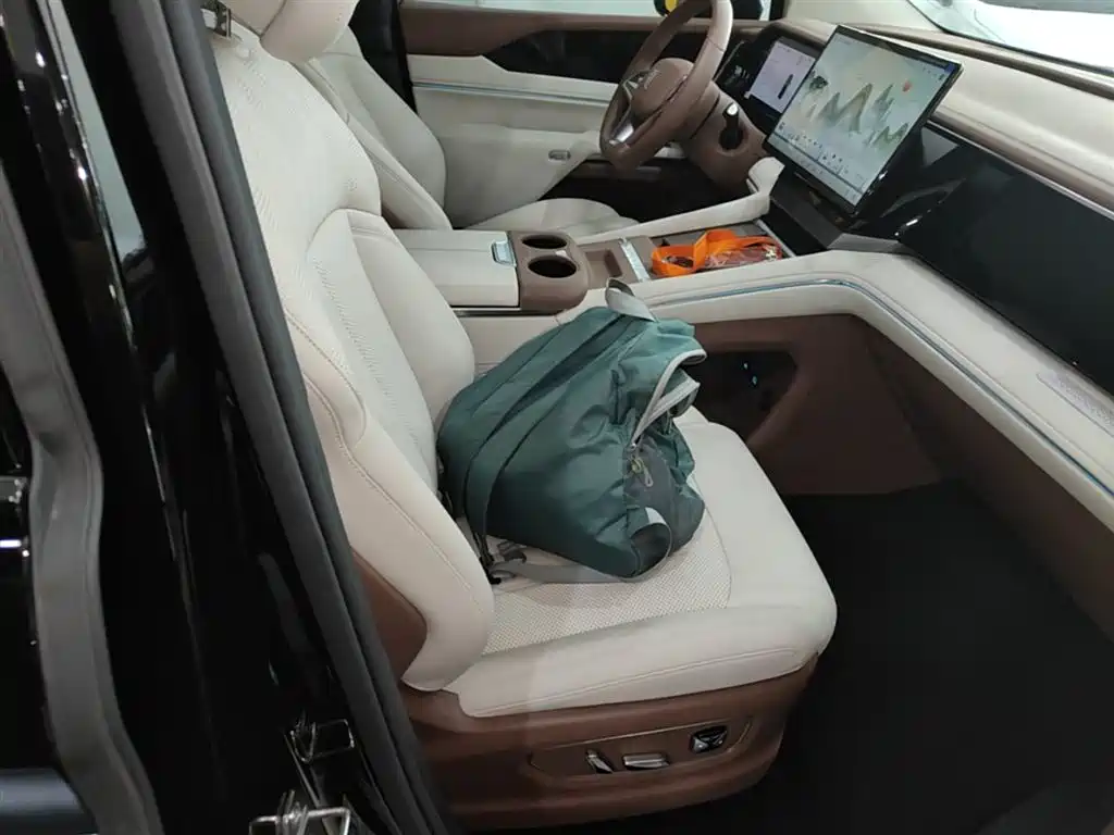 BYD Xia 2025 DM-i 1.5T 100km Surpass Edition фото 25