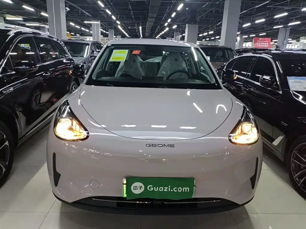 Geely Galaxy Starry Wish 2026 Edition 310km Youth Version фото 3