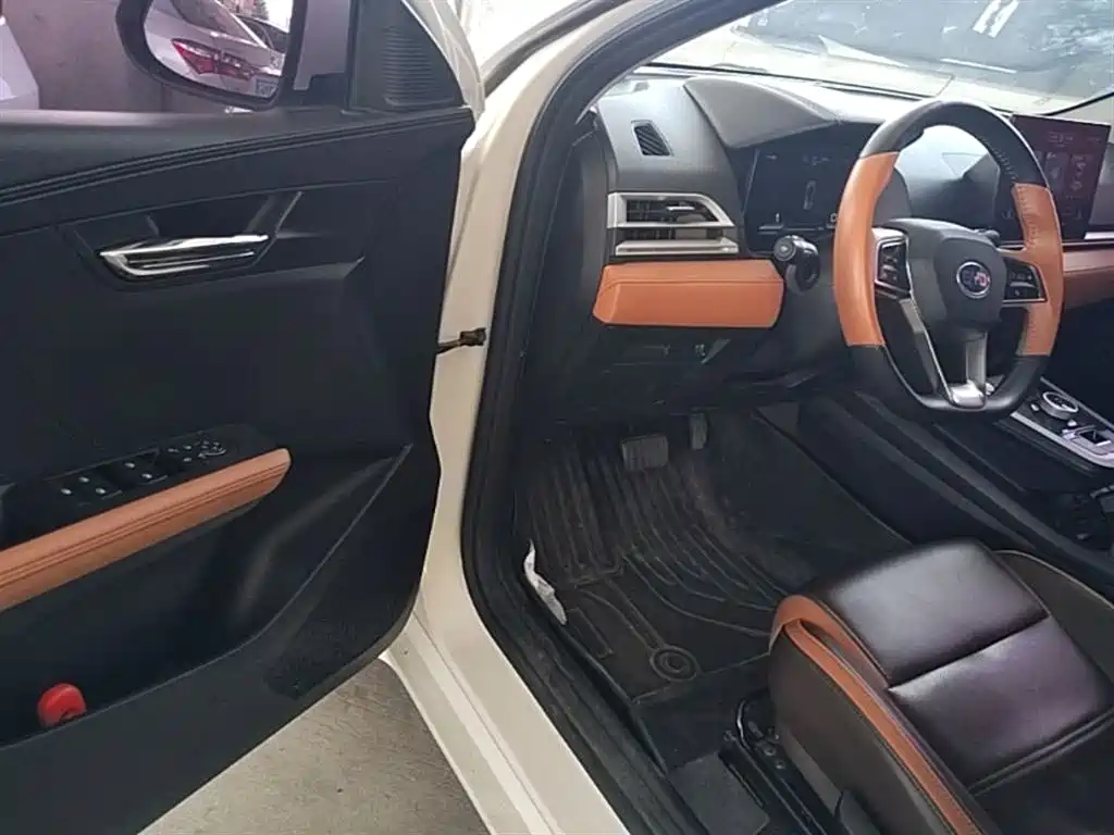 BYD e2 2021 Luxury Edition фото 16