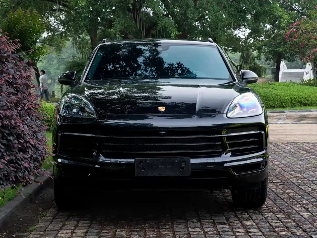 Porsche Cayenne 2019 Cayenne 3.0T фото 2