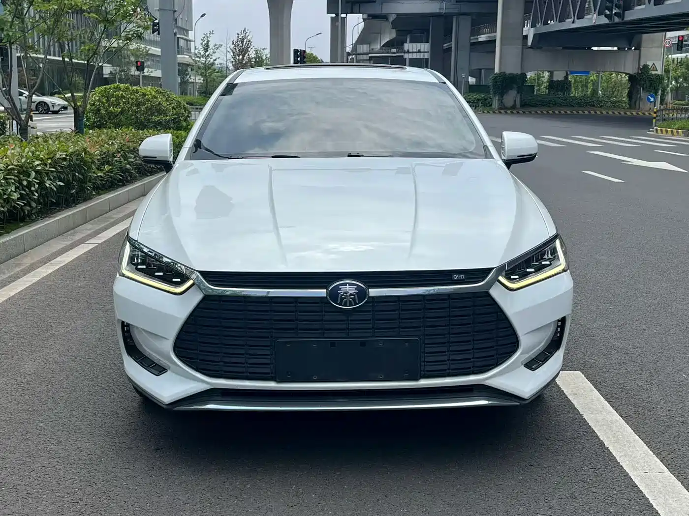 BYD Qin Pro New Energy 2019 EV Super Edition Standard Smart Connect Leading Style фото 2