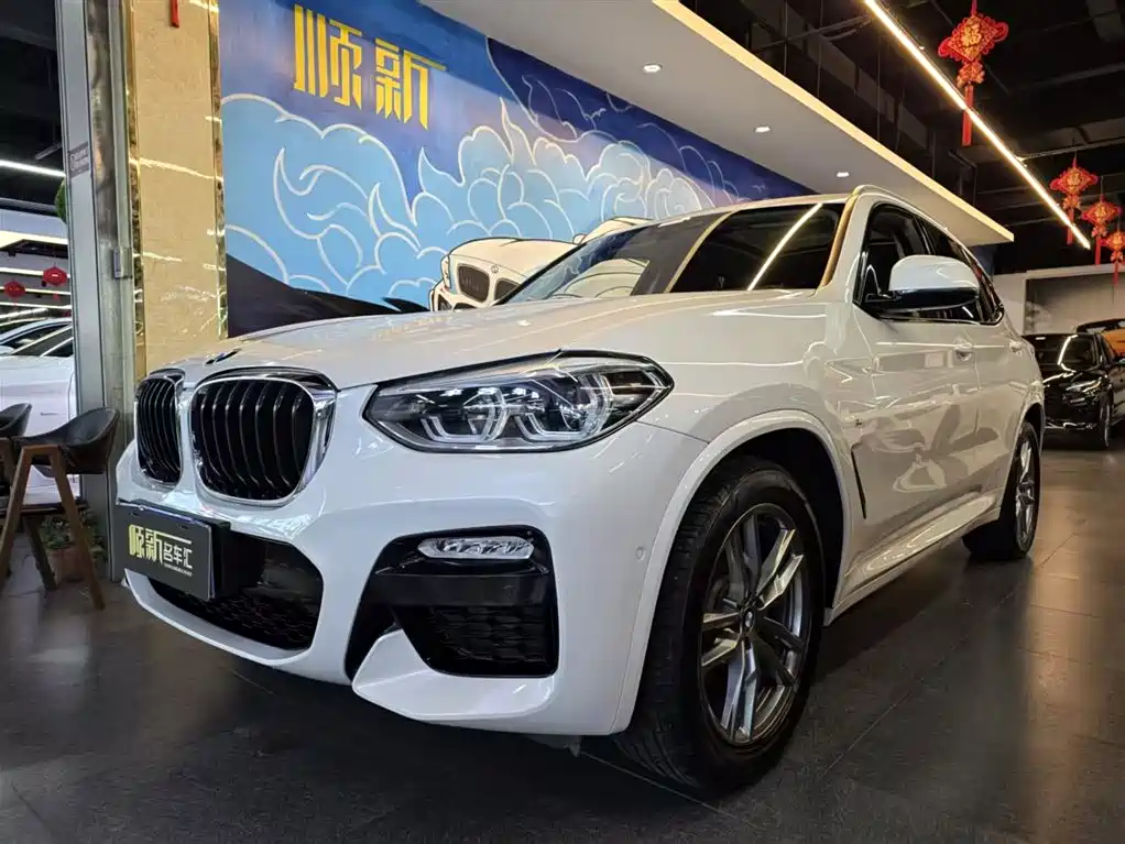 BMW X3 2018 xDrive25i M Sport Package China V