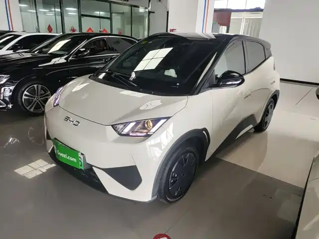 BYD Seagull 2025