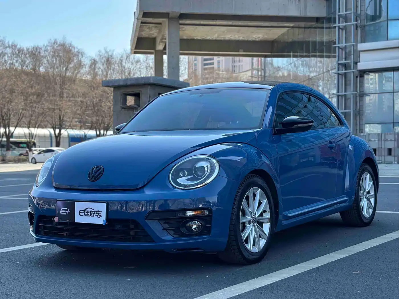 VOLKSWAGEN BEETLE