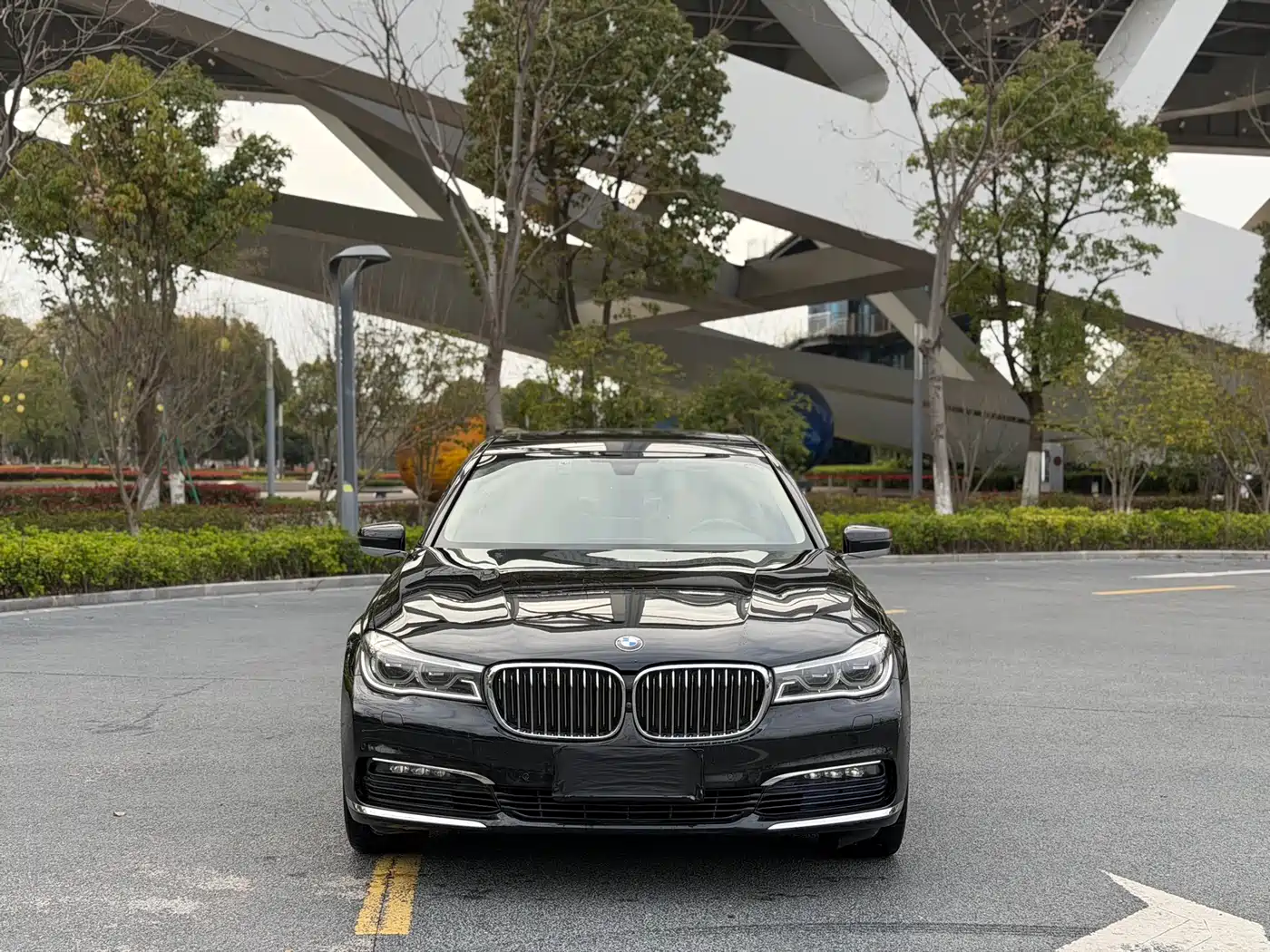 BMW 7 Series 2016 730Li Luxury фото 2