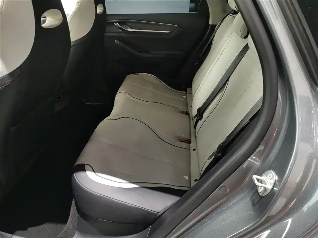 BYD Destroyer 05 2023 Champion Edition DM-i 55KM Luxury фото 17