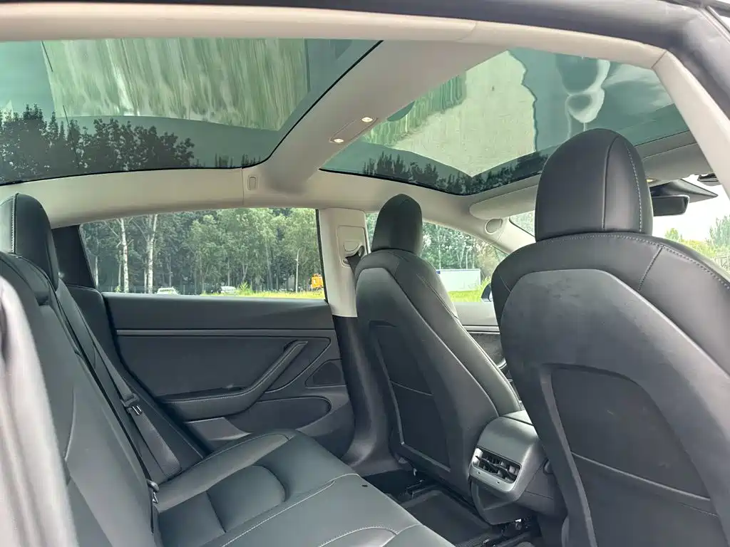 Tesla Model 3 2020 2020 Standard Range Rear-Wheel Drive Upgrade