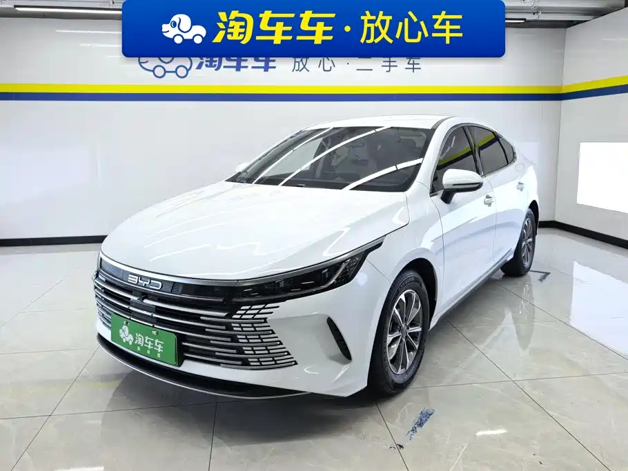 BYD Destroyer 05 2024