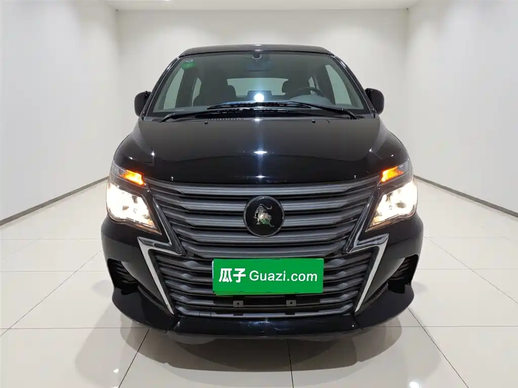 DONGFENG POPULAR LINGZHI