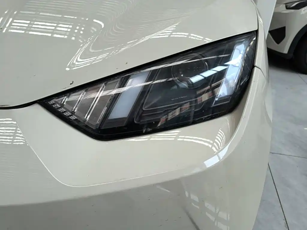 BYD Seagull 2026 2025 Smart Drive Edition 305km Vitality Version