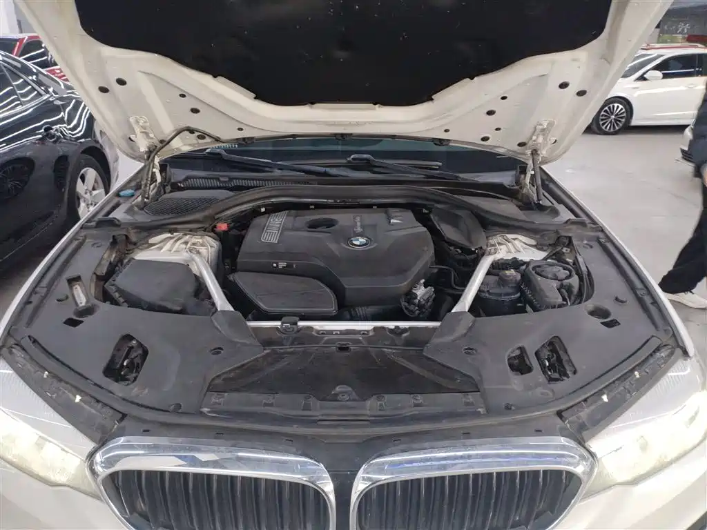 BMW 5 Series 2019 530Li Leading M Sport Package фото 20