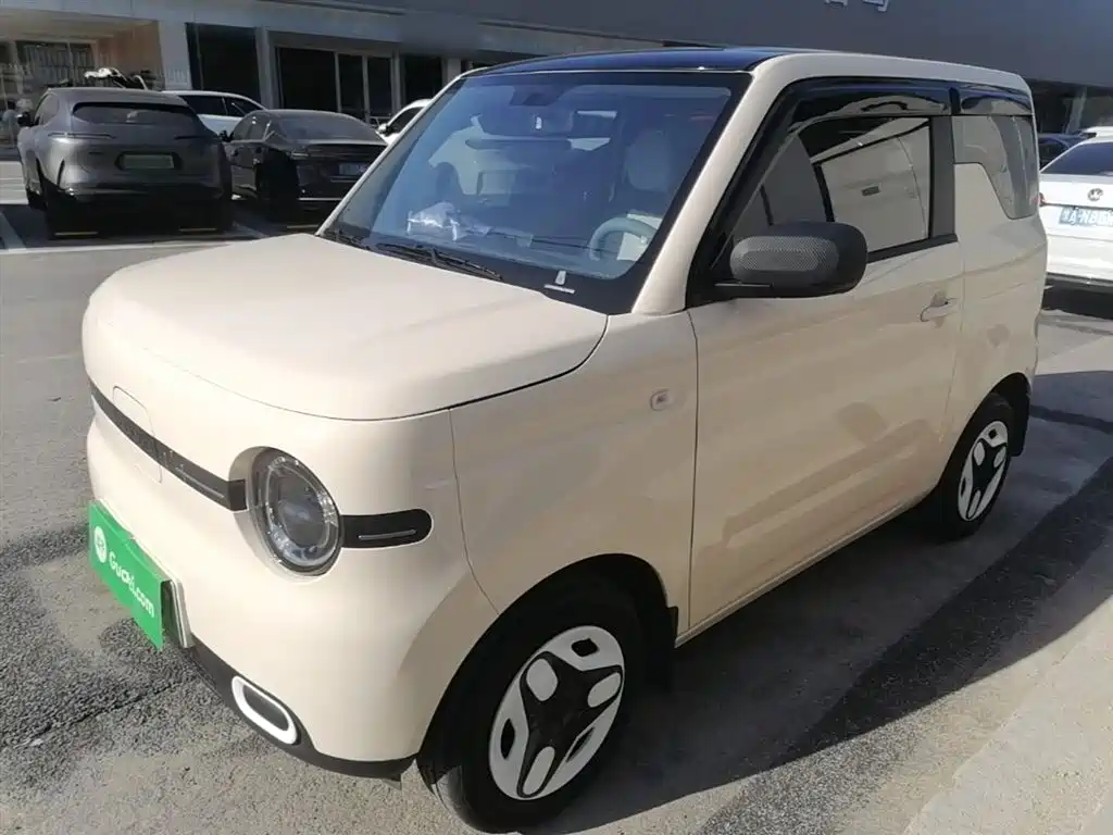Geely Galaxy Panda 2025 Panda mini 210km Vitality Bear