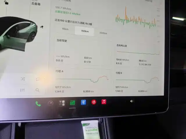Tesla Model 3 2020 Standard Range Rear-Wheel Drive Upgrade — фото 4