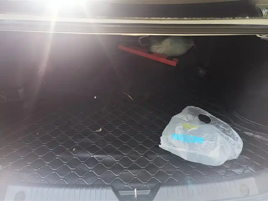 GAC Trumpchi Trumpchi GA6 2019 270T Auto Luxury фото 4