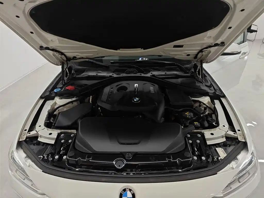 BMW 3 Series 2018 320Li Fashion Style фото 20