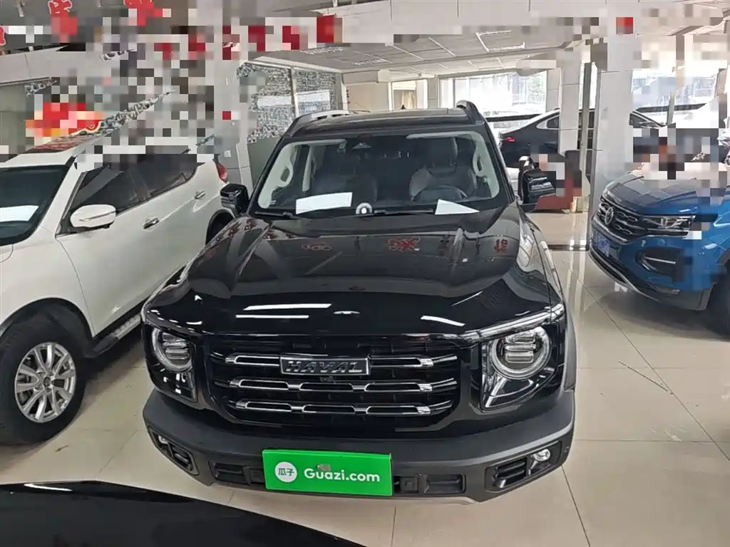 Haval Big Dog 2022 1.5T DCT FWD Border Collie Edition фото 3