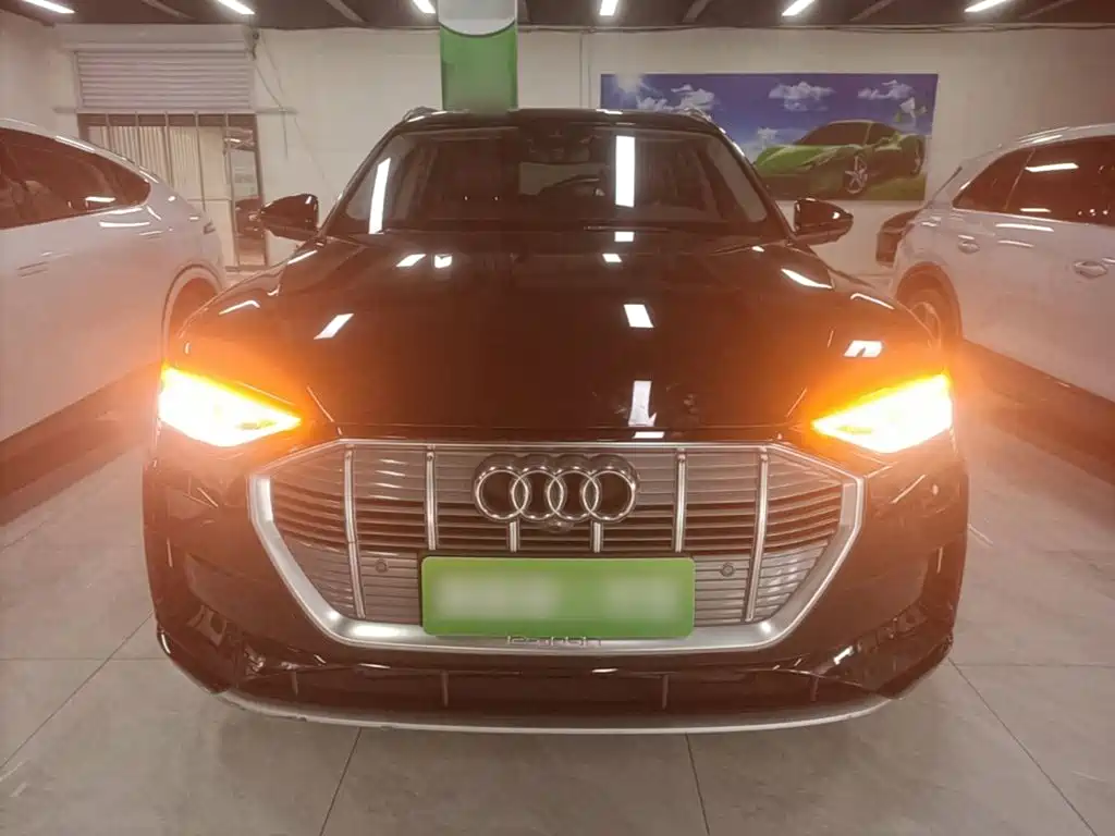 Audi e-tron (Import) 2020 2019 55 quattro Technology