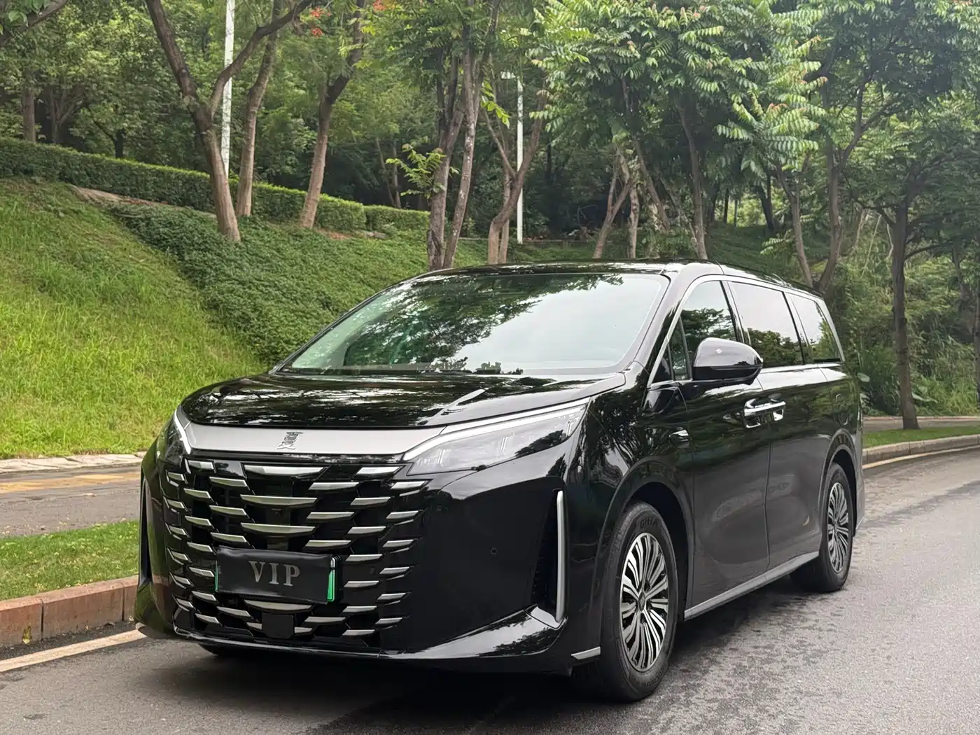 BYD Xia 2025 DM-i 1.5T 100km Surpass Edition