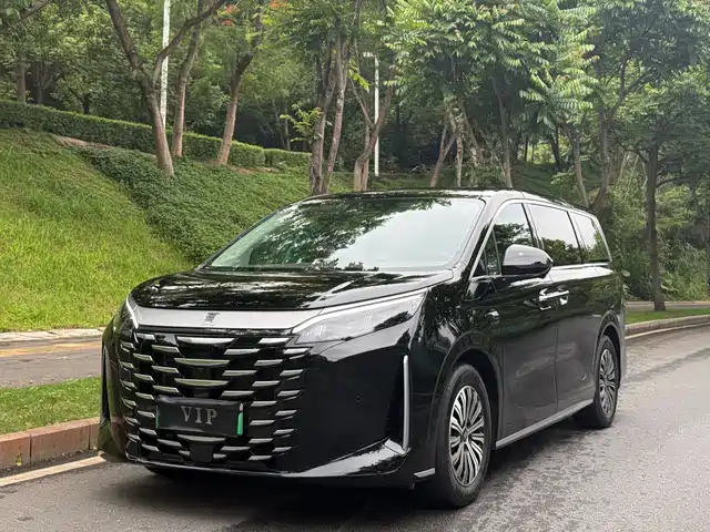  BYD Xia 2025 DM-i 1.5T 100km Surpass Edition